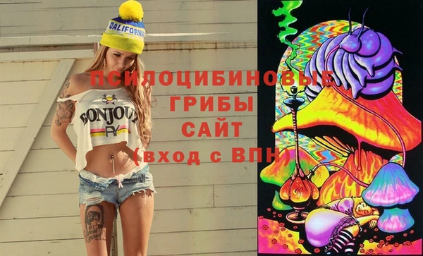 альфа пвп Алзамай
